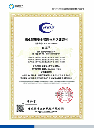 I5045001:2018职业健康安全管理体系认证证书