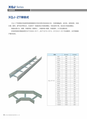 XQJ-ZT梯级式桥架
